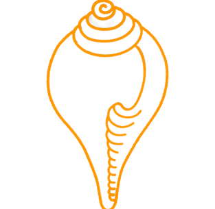 religion hindu symbol shankha